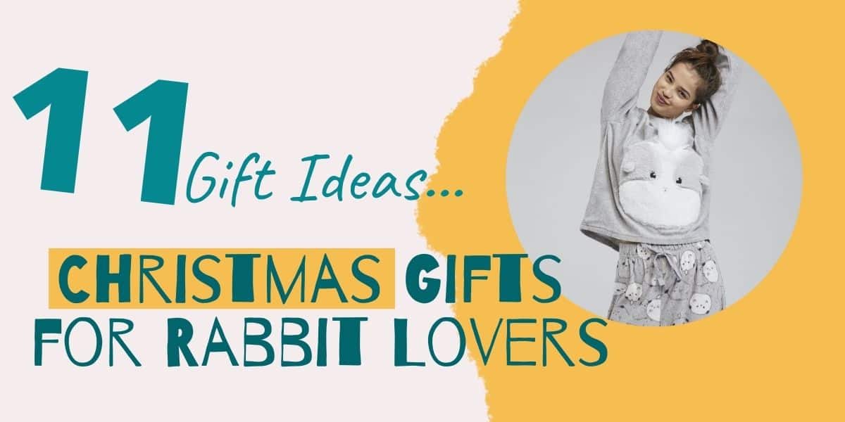 Christmas Gifts for Rabbit Lovers | 11 Best Gift ideas