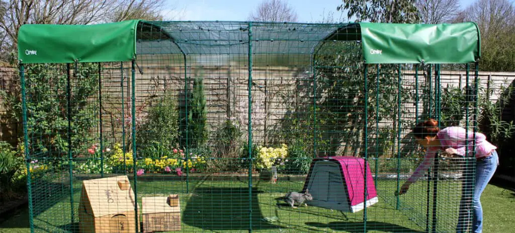 rabbit hutch and outdoor run