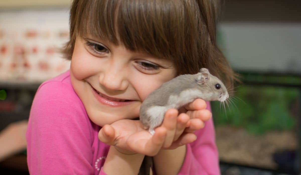 hamster and child