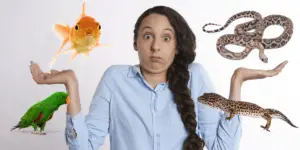 pets for people with allergies