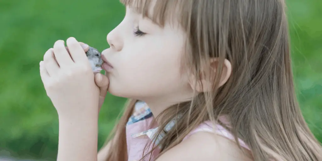 child playing with a hamster