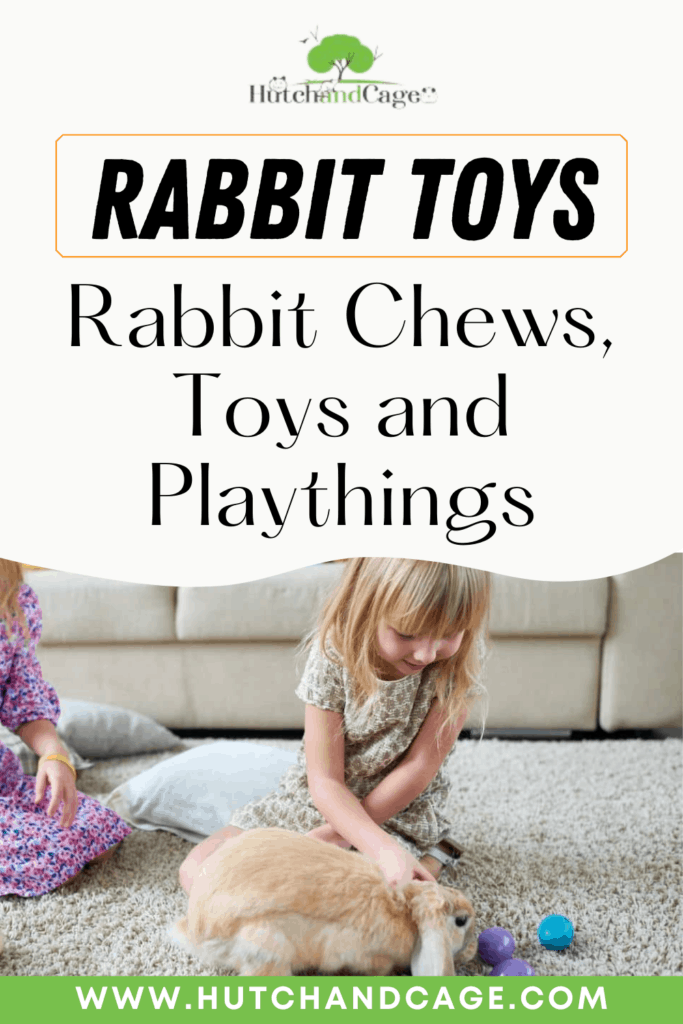 Rabbit Toys