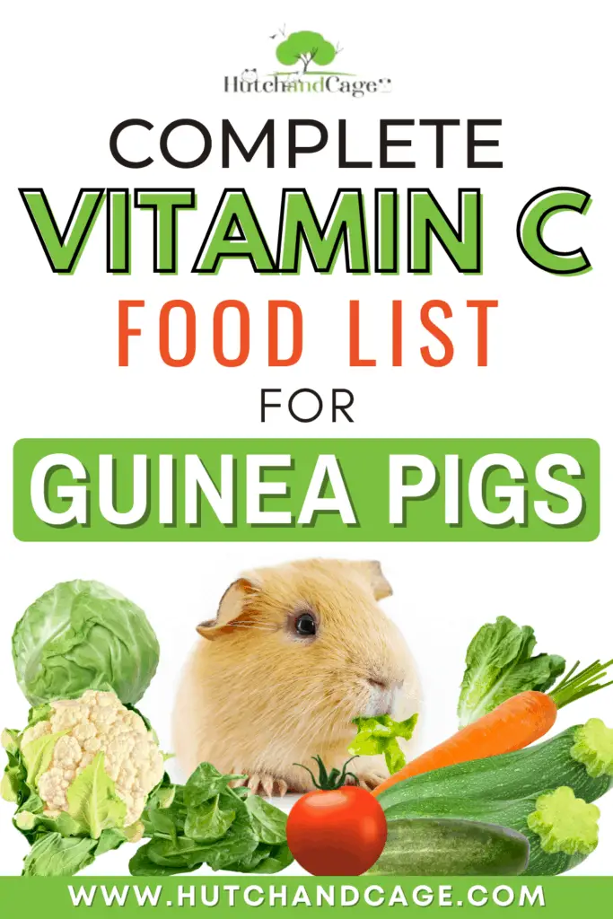 Complete Vitamin C Food List for Guinea Pigs