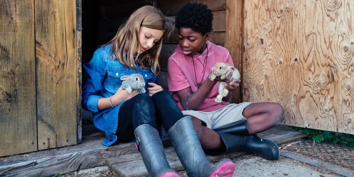 two children playing with pet rabbits