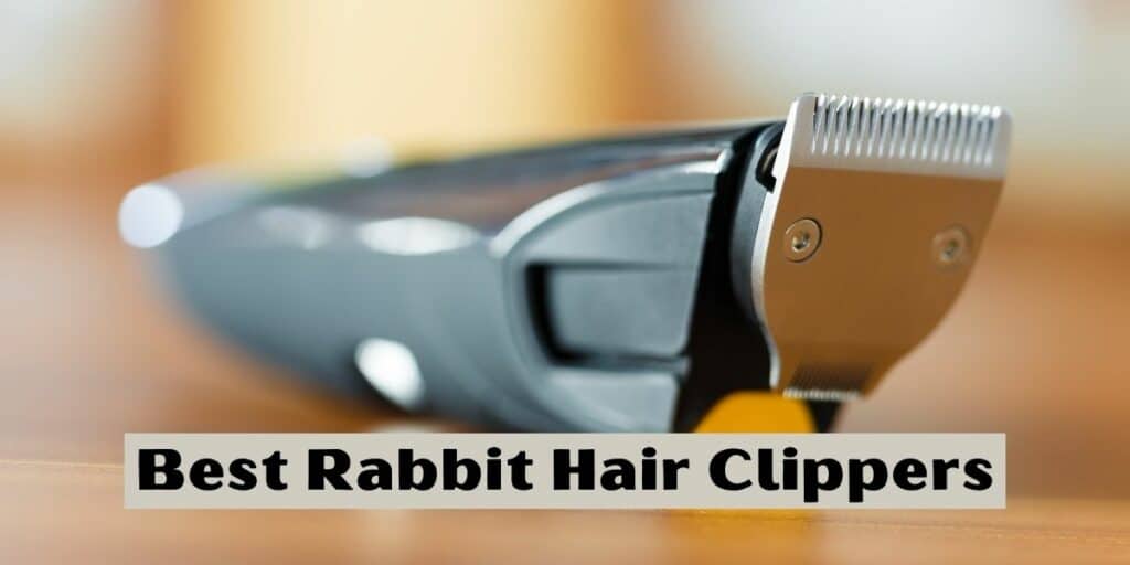 Best Rabbit Hair Clippers