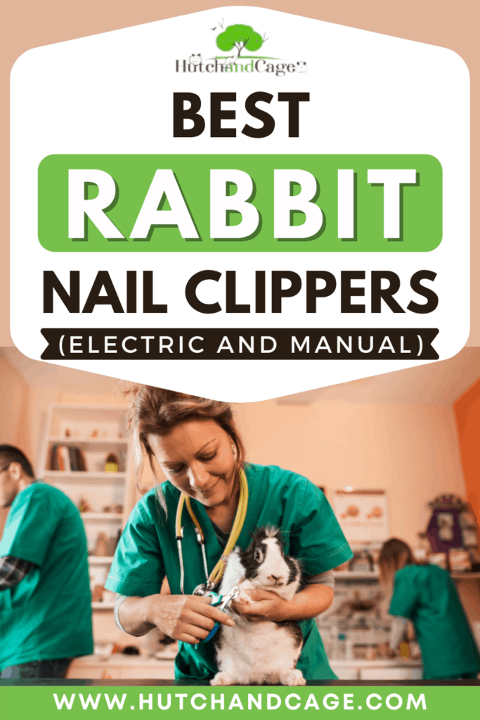 best rabbit nail clippers
