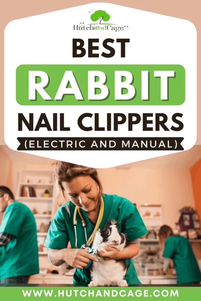 best rabbit nail clippers