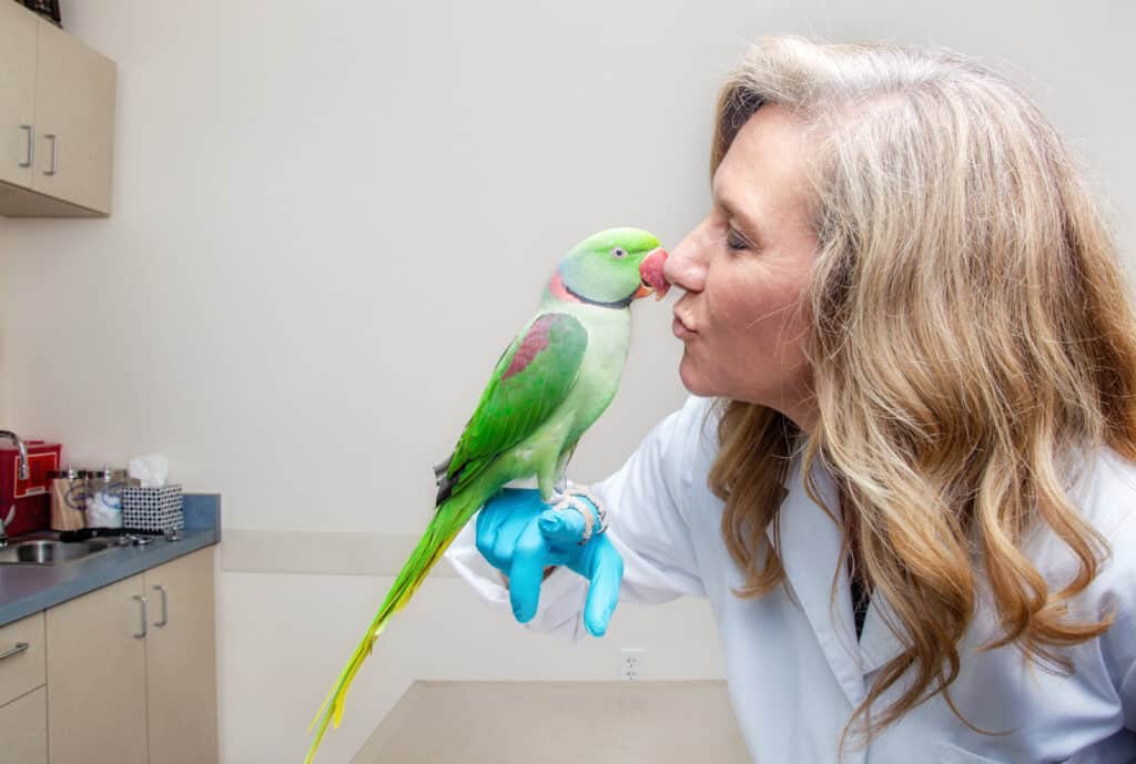 Veterinarian Kissing Bird