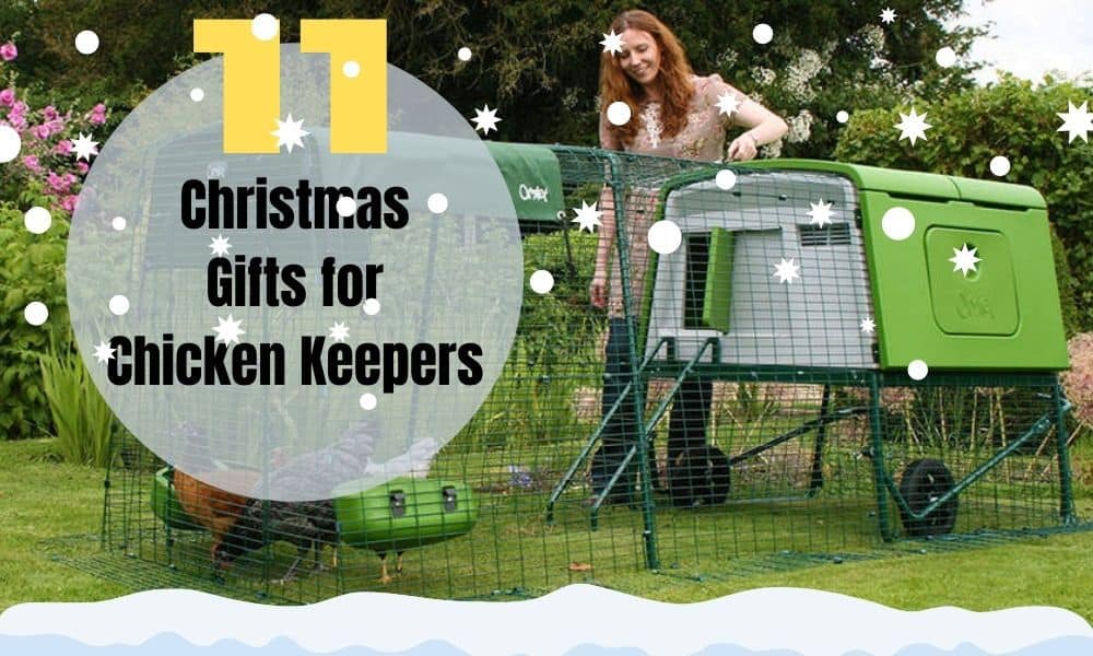 11 Christmas Gifts for Backyard Chicken Keepers