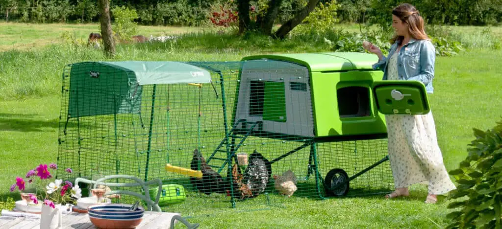 EGLU CHICKEN COOP