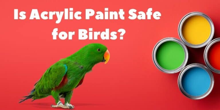 Is Acrylic Paint Safe For Birds Hutch And Cage sailing-with-the-sun-leonid-afremov-pinturas-pintura-de-iniciante
