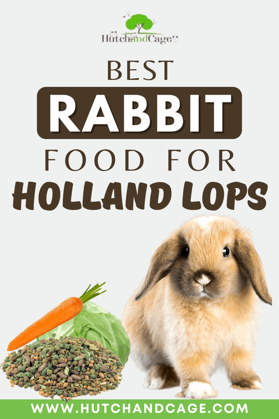 Best Rabbit Food for Holland Lops Hutch and Cage