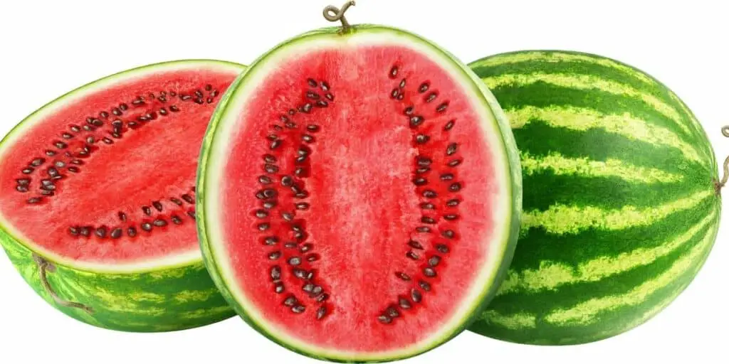 watermelon