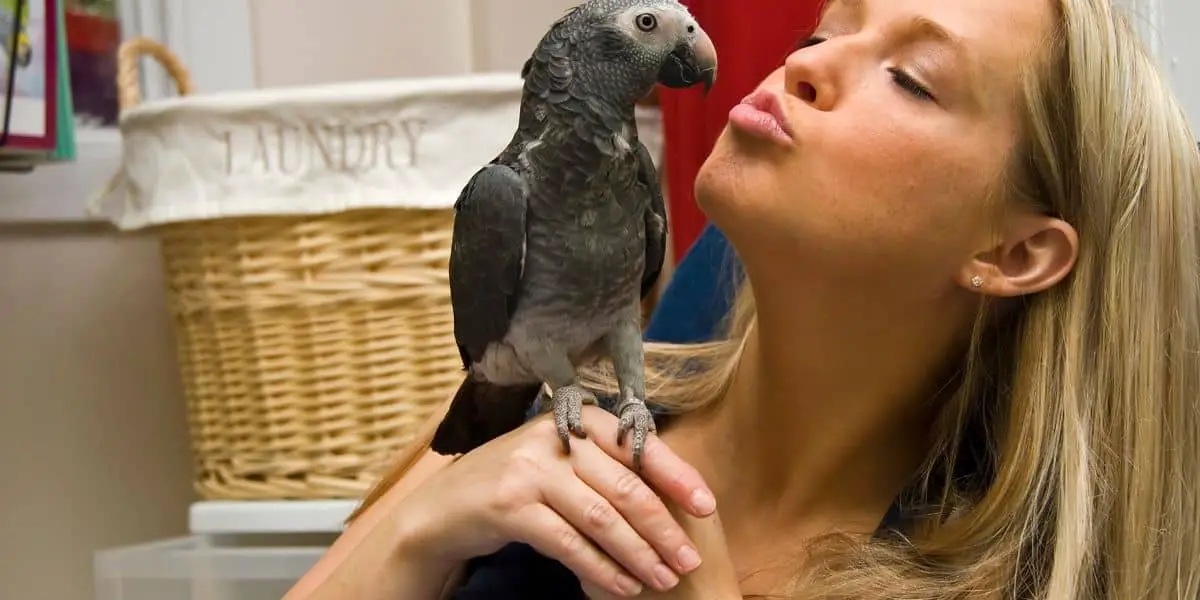Funny Things that Parrots Say