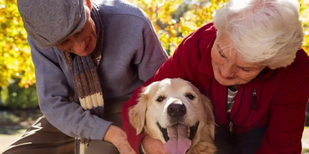 elderly people with a pet dog