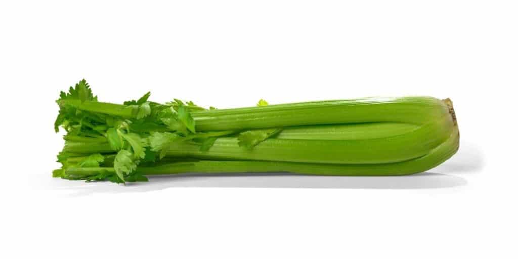 celery