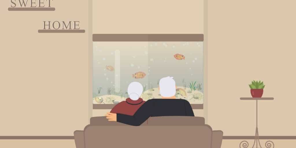 elderly watching fish