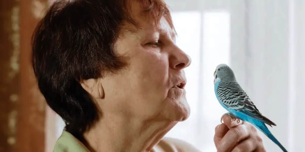 lady with budgie