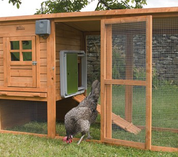 wooden chicken coop