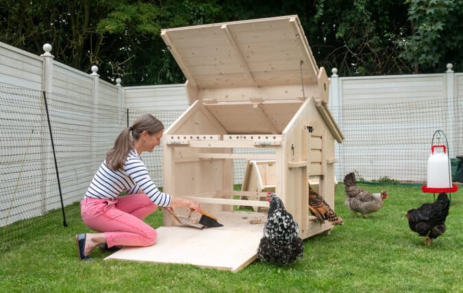 wooden chicken coop
