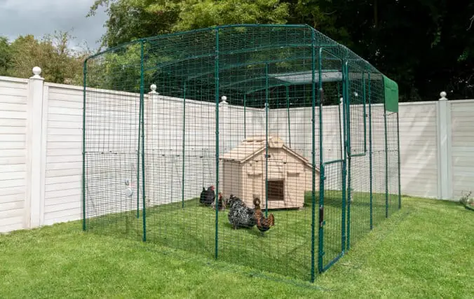 wooden chicken coop