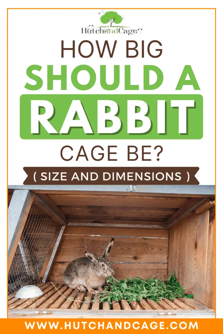 How Big Should A Rabbit Cage Be