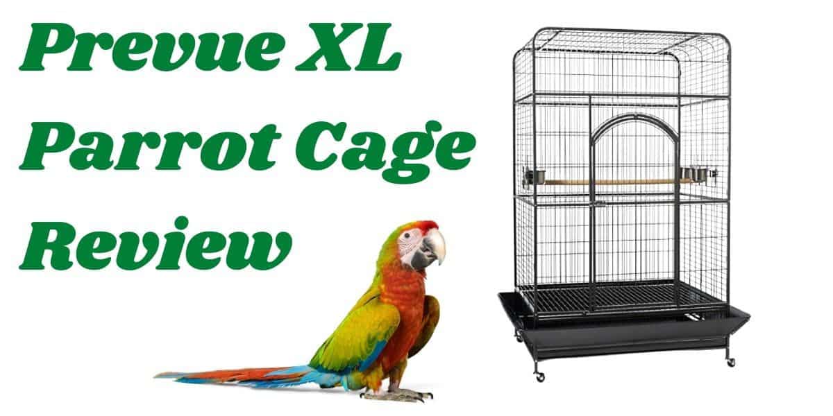 prevue parrot cage