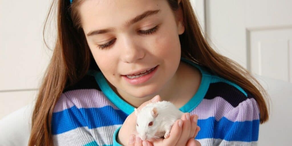 child holding a gerbil