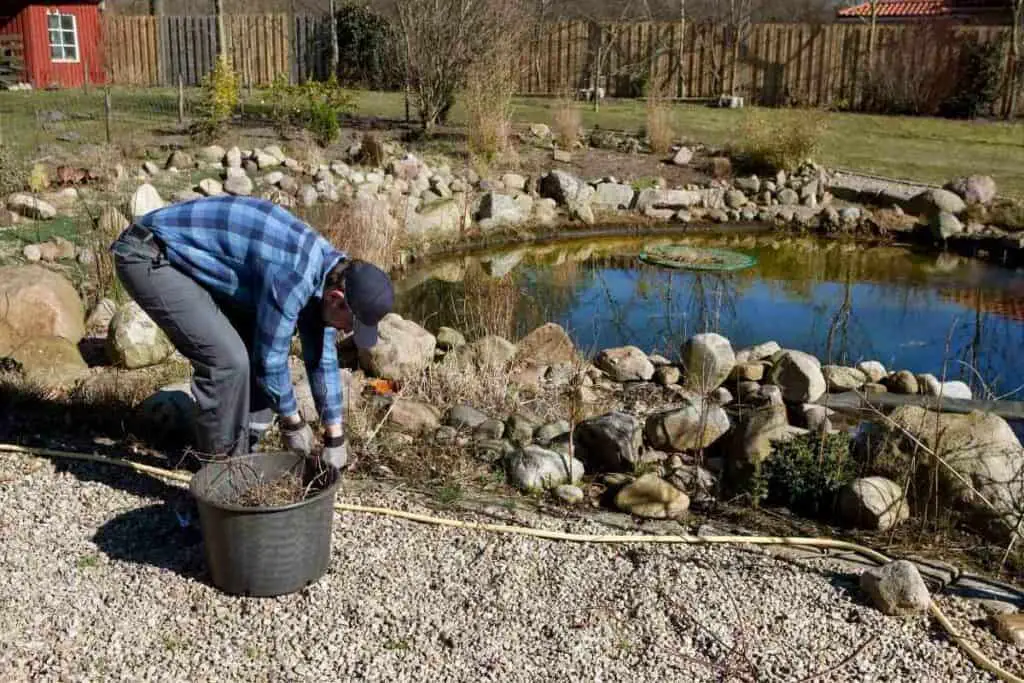 cleaning a pond