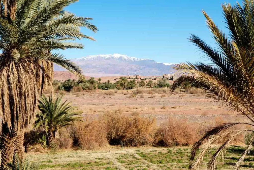 Sahara desert and Nothern Africa