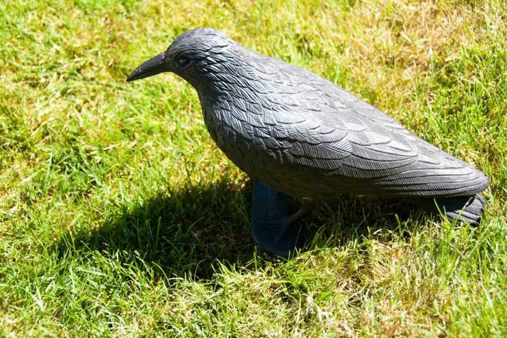Plastic crow against barn swallows
