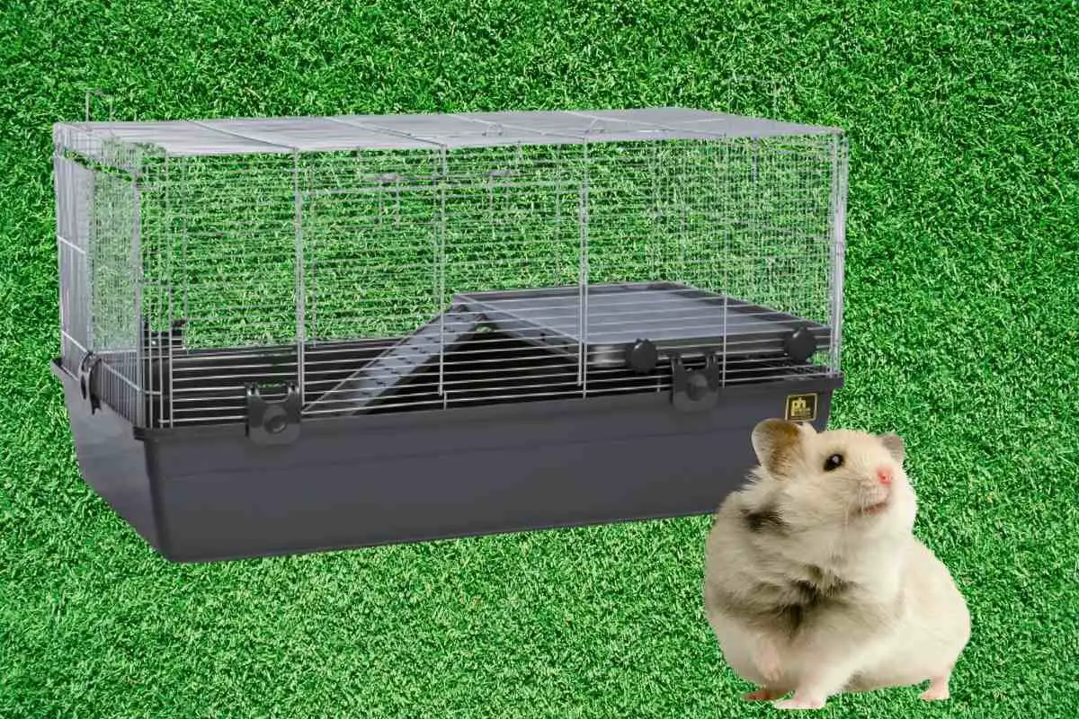 Prevue 528 Hamster Cage Review 2022