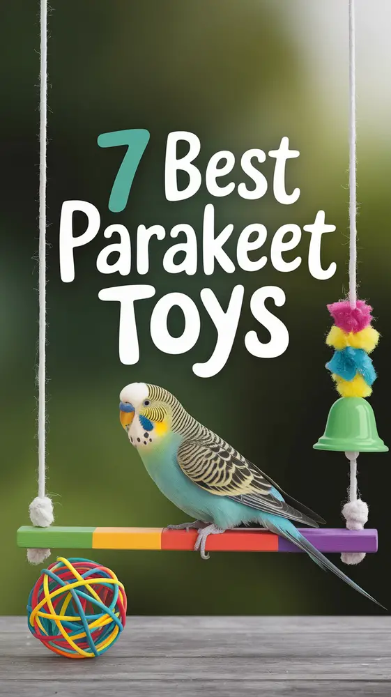 7 Best Parakeet Toys