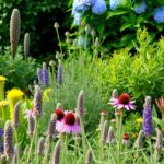 Are Hydrangeas Rabbit Resistant