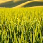 Can Guinea Pigs Eat Barley Grass?