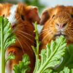 Can Guinea Pigs Eat Celery Leaves?
