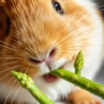 Can Guinea Pigs Eat Raw Asparagus?