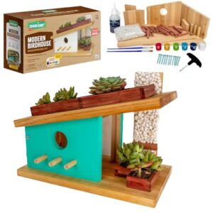 Discovering the Best Bird Houses I Found