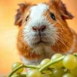 Can Guinea Pigs Eat Grape Stems?