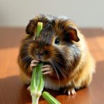 Can Guinea Pigs Eat Okra?