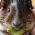 Can Guinea Pigs Eat Kiwi?
