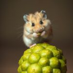 Can Hamsters Eat Jicama