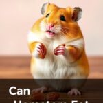 Can Hamsters Eat Raisins