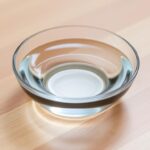 Can Guinea Pigs Drink Out Of A Bowl?